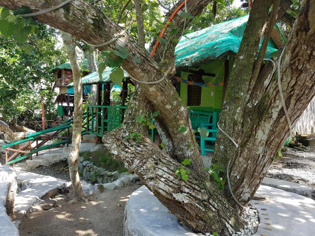 Nature Green Forest Resort Baler Eksteriør billede