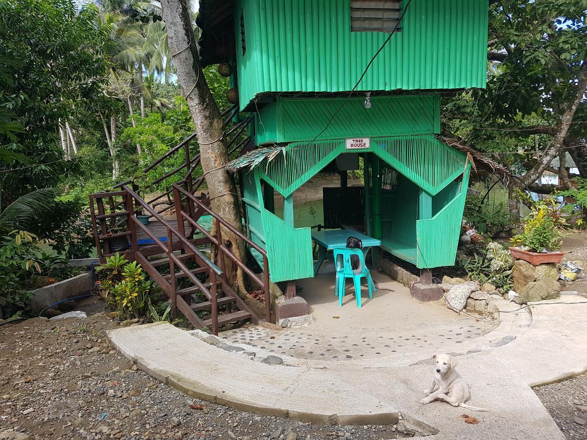 Nature Green Forest Resort Baler Eksteriør billede