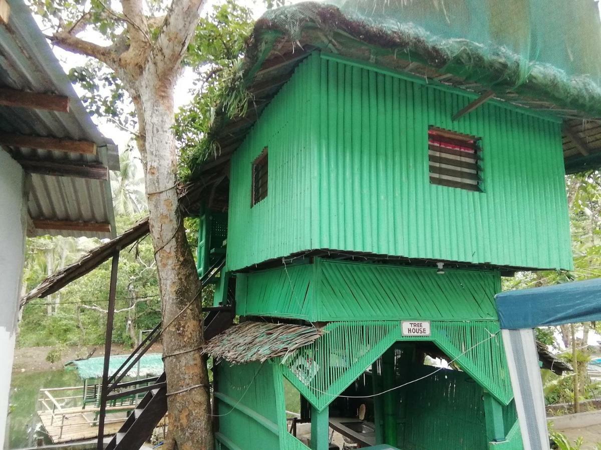 Nature Green Forest Resort Baler Eksteriør billede